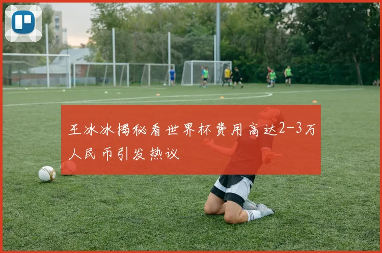 王冰冰揭秘看世界杯费用高达2-3万人民币引发热议